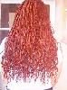 Afrofon�s
